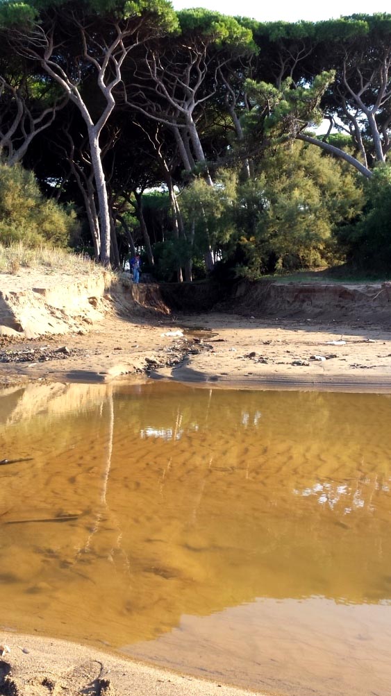 I fossi e lo stagno di Baratti (Piombino - LI)